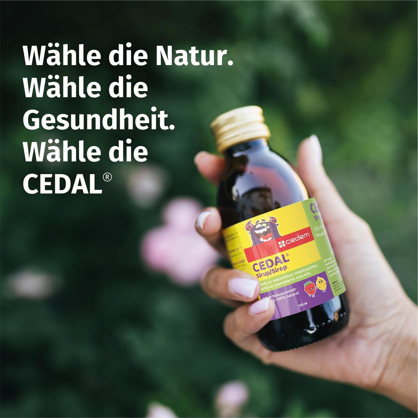 CEDAL Hustensaft von Cedem wird in einer Hand im Grünen gehalten – begleitet vom Slogan